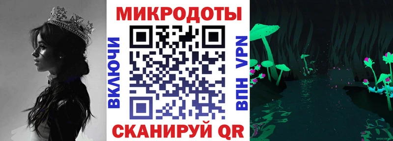 Псилоцибиновые грибы Psilocybine cubensis  Северодвинск 