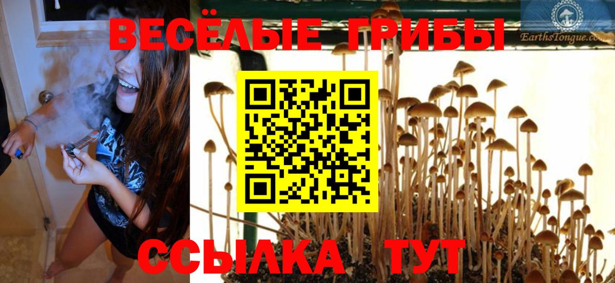 Галлюциногенные грибы ЛСД Северодвинск